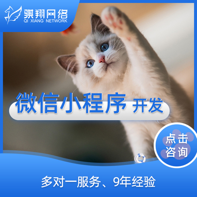 服務外包供應商-IT軟件,品牌設計,網(wǎng)站外包服務商平臺